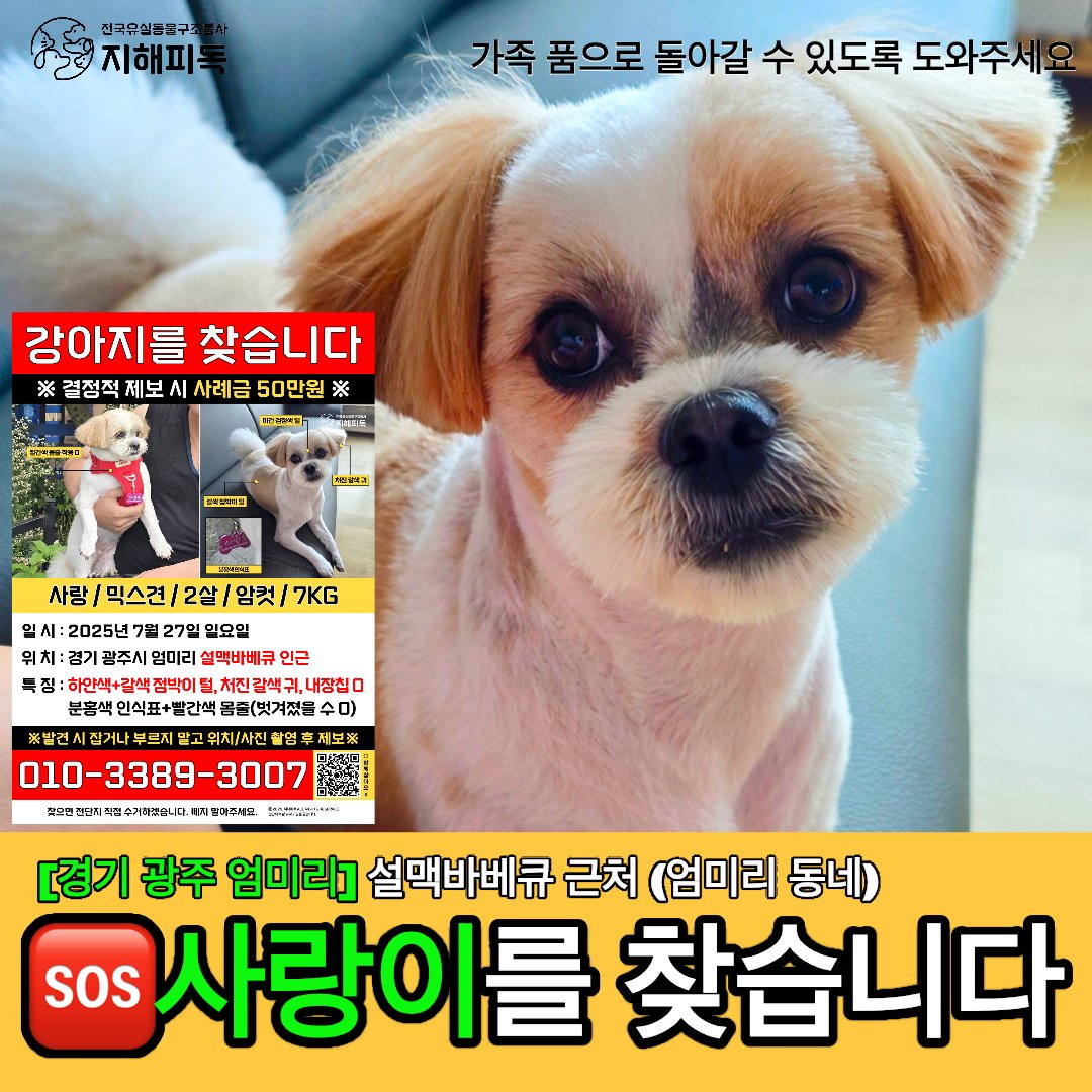 Dbdhdjdjdnnd's tweet image. 강아지를 찾고있어요!!
유실기간이 3개월이 다되가는데..누가 데려가신건지..아직 목격제보조차 없어요ㅜㅜ
우리 사랑이 찾을수 있도록 널리 알려주세요.
비슷한 강아지가 보이면 사진제보 부탁드립니다.
너무 보고싶은데..어디서 뭘 어떻게 찾아야 할지 막막합니다.