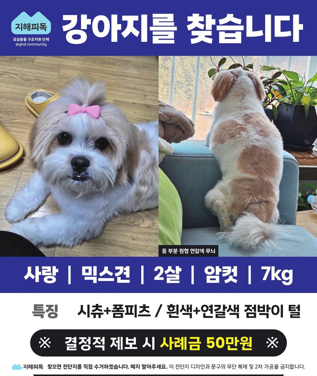 Dbdhdjdjdnnd's tweet image. 강아지를 찾고있어요!!
유실기간이 3개월이 다되가는데..누가 데려가신건지..아직 목격제보조차 없어요ㅜㅜ
우리 사랑이 찾을수 있도록 널리 알려주세요.
비슷한 강아지가 보이면 사진제보 부탁드립니다.
너무 보고싶은데..어디서 뭘 어떻게 찾아야 할지 막막합니다.