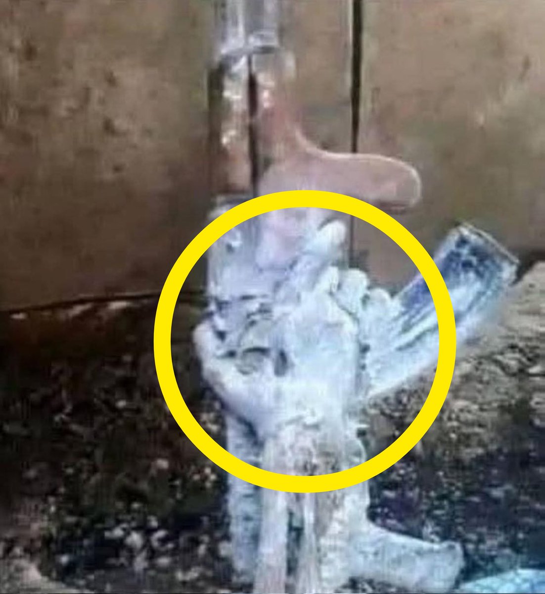 Gazze 'de Enkaz Altından Çıkarılan
Bir Kassam Mücahidi 🇵🇸