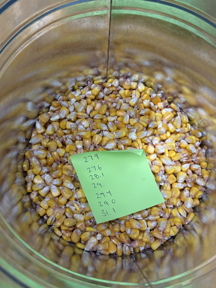 In case you were wondering just how variable the corn is… 15 cobs, 1 composite sample, 6 moisture tests. 

3 points difference across the lot 🫠
#ontag