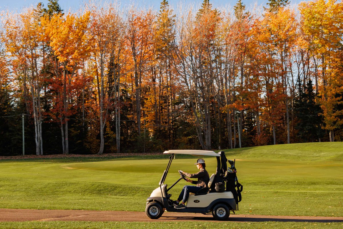 Just because it’s October doesn’t mean you need to be done golfing. 😏
Our Swing Into Fall Package gives you the perfect excuse for one more golf getaway whether that’s a quick overnight or a few days away. 👇
ow.ly/wvor50Xf9PO