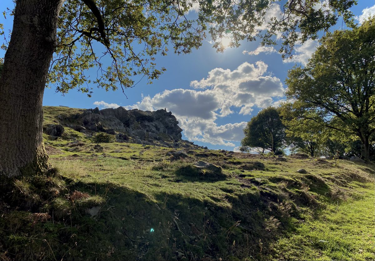 marialavande's tweet image. what are men to rocks and mountains?