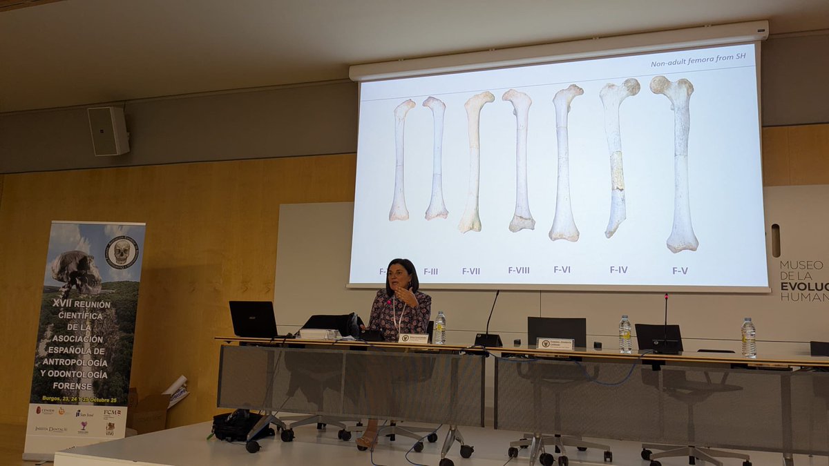 laboratorio EH tweet media