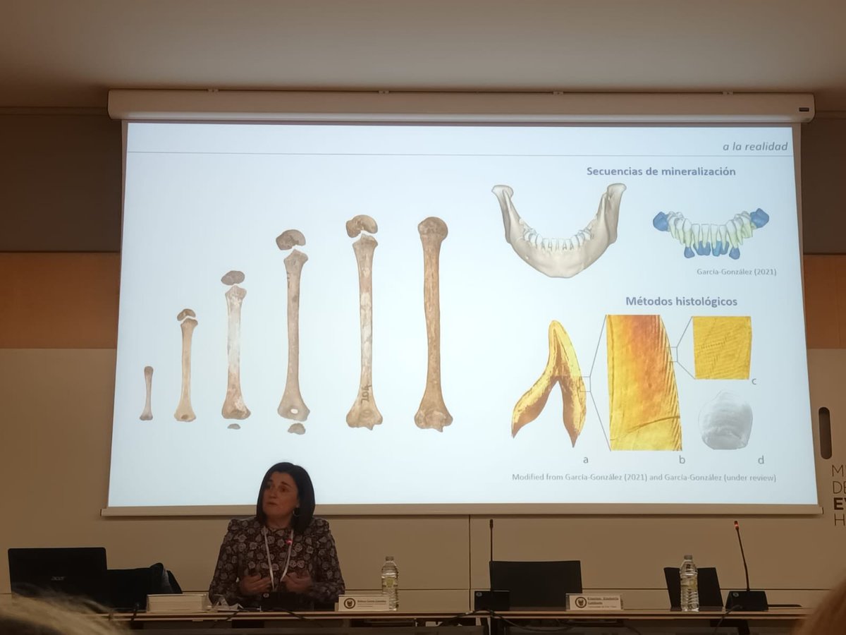 laboratorio EH tweet media