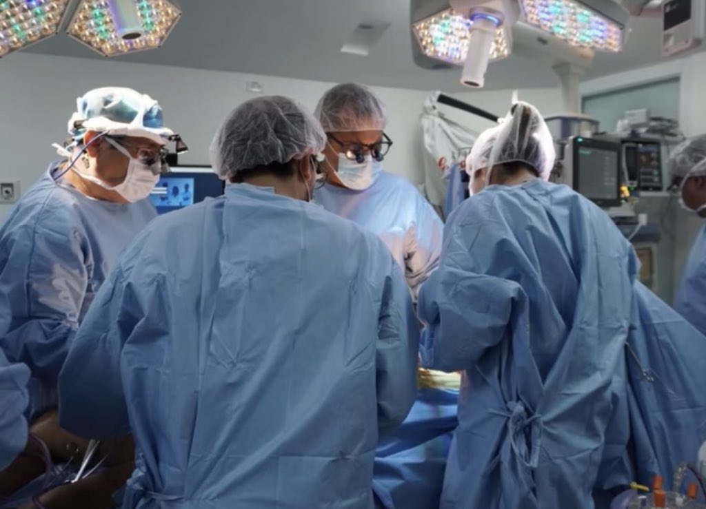 Hanul Zuniga Kwon tweet media