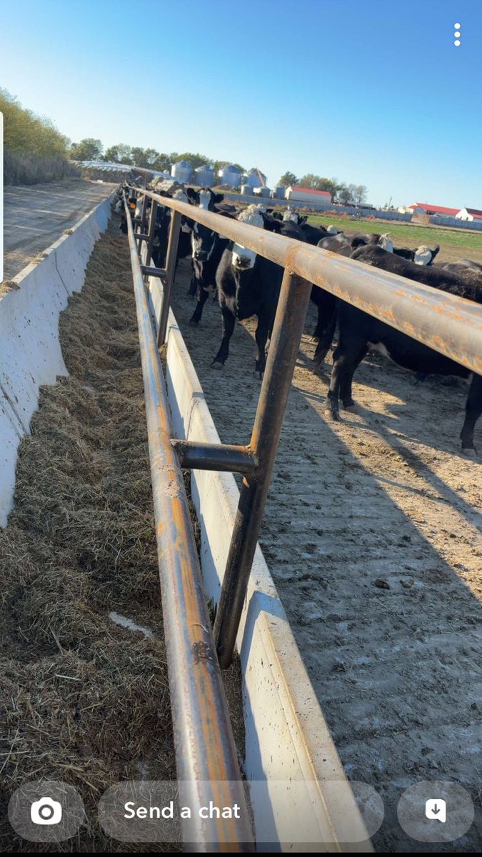 without labor, nothing prospers tweet media