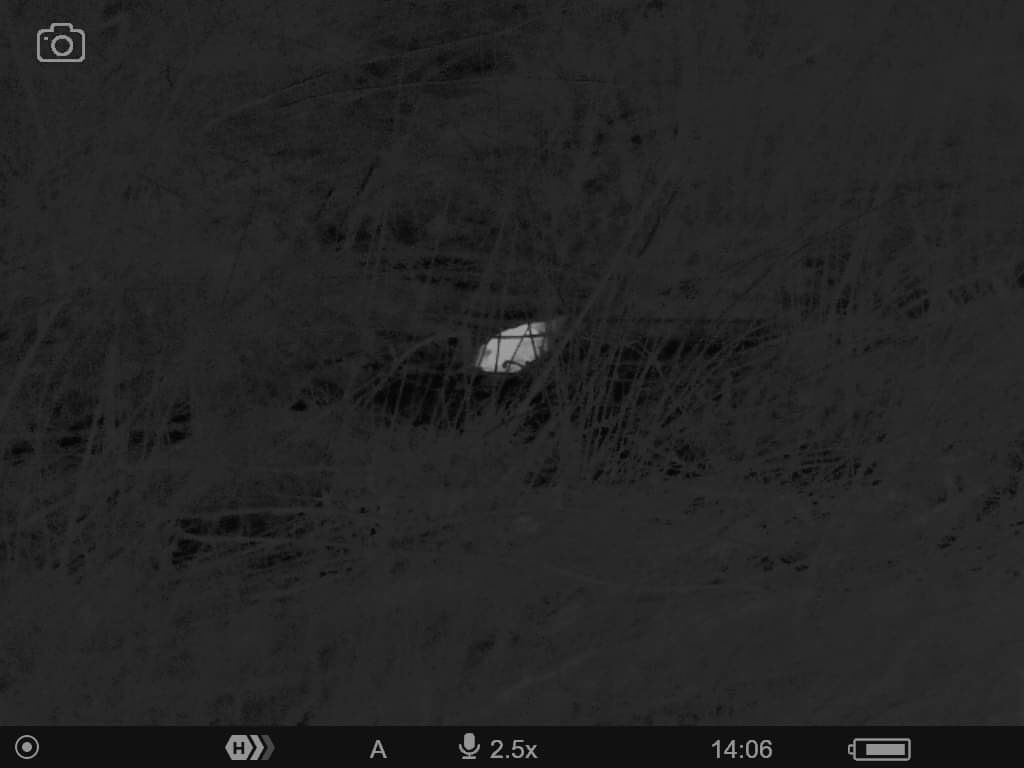 After a rather uninspiring start despite a few late Sept birds, things have picked up this week.
By 22/10, a total of x37 birds from a doz sites, with several locs still blank.
20 birds from x9 sites in core study area in NZ35/34
The regions max is 9 at Rspb Saltholme
Image by MH