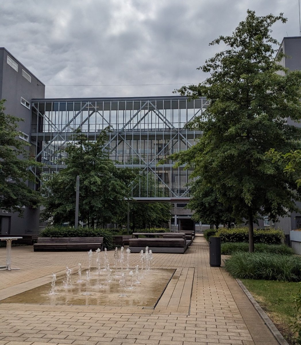 навіжена.. tweet media