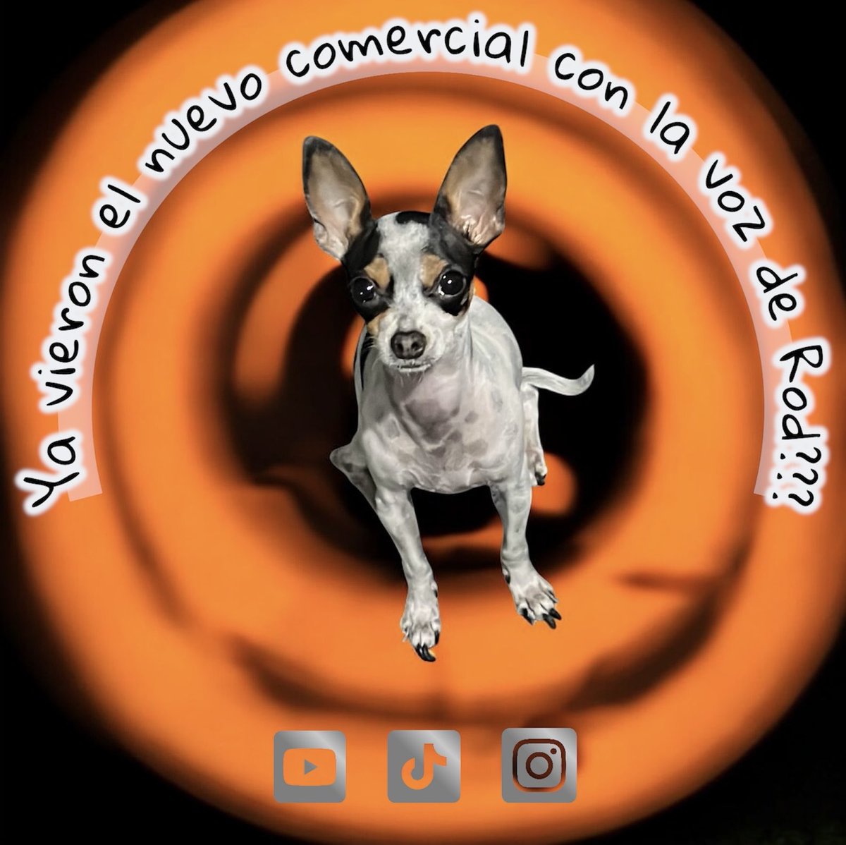No diré cuál pero les dejo algunas pistas para llegar a tiempo y adivinar:

- Canino
- Firma color naranja

#SoyLocutor ®️
#LeDamosVoz 🗣️🎙️