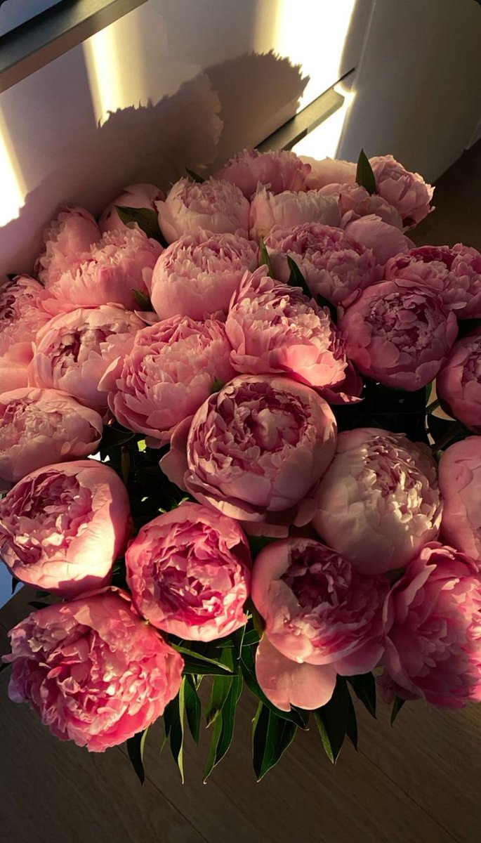 Şakayık'ın güzelliği>>>