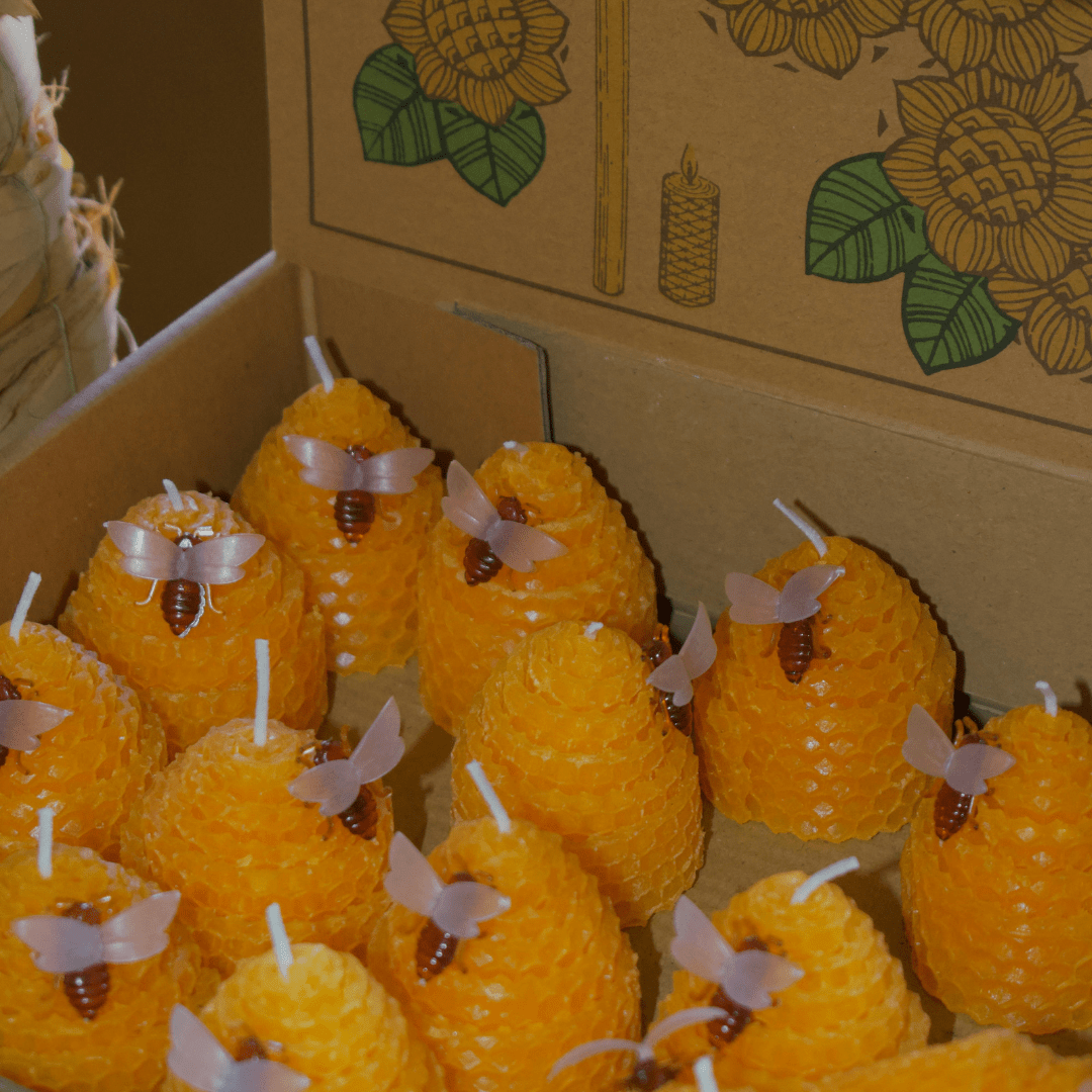 terrishutterbug's tweet image. Amazing Facts About Beeswax shabbychicboho.com/amazing-facts-…