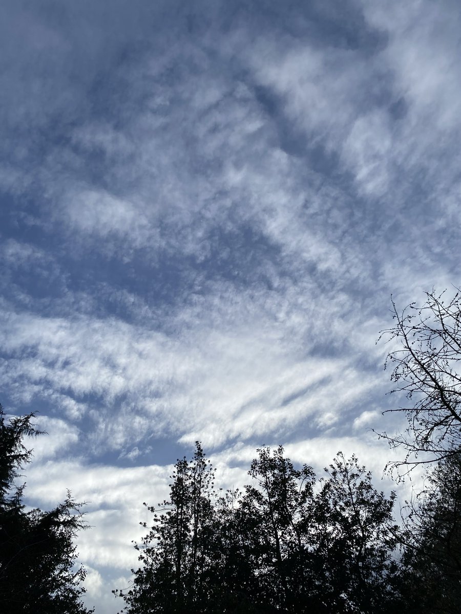 Mr Herod tweet media