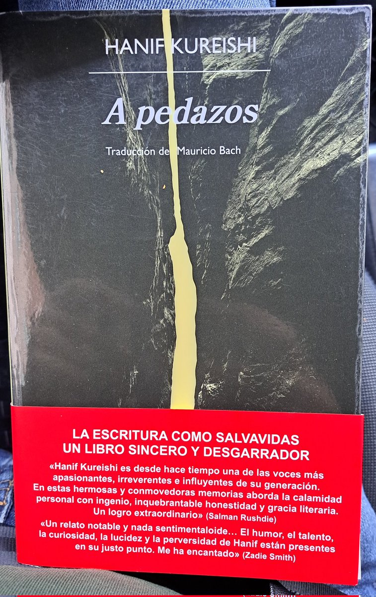 Ez nekien <a href="/Hanifkureishi/">Hanif Kureishi</a> elbarri gelditu denik. Eskuak erabili ezinik liburu hau idatzi du, gertatutakoa eta bizitzen ari dena, hausnarketa vital ugarirekin eta erabat biluztuta, deskribatuz. Sufrimendua, umore beltza eta askatzeko eta gauzak egiteko beharra. <a href="/AnagramaEditor/">Editorial Anagrama</a>