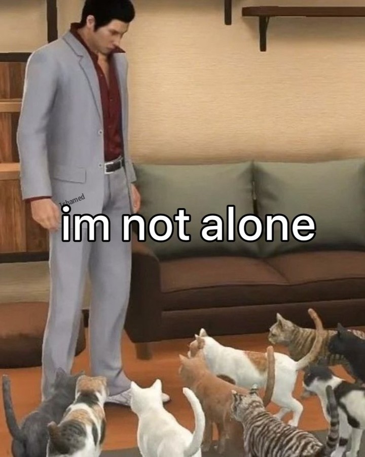 Punch Cat (@punchingcat) on Twitter photo 