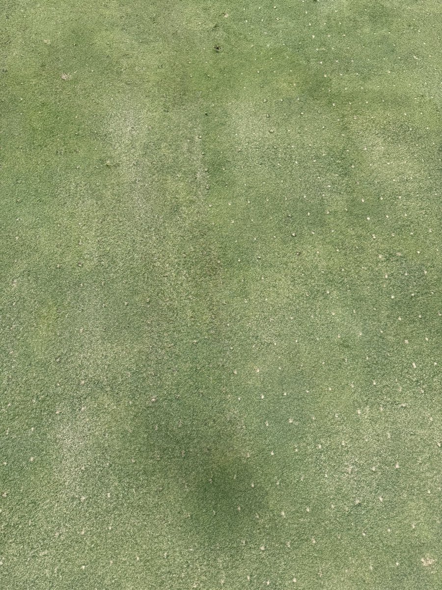 <a href="/Golfdom/">Golfdom</a> <a href="/turfmonkeyboy/">john reilly</a> <a href="/DryJect/">DryJect Inc</a> It really is amazing how it simplifies the aerification process. These pictures are taken 5 hours apart after only brushing. The course never closed. The ladies league played the back 9 while the front was done and the front was opened at 10am. #NoComplaints <a href="/sod_squad_/">Sodsquad</a>