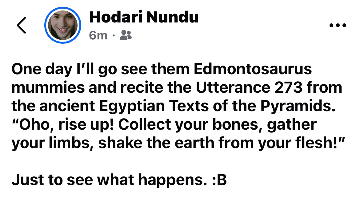 Hodari Shadowalker ❄️🐆 (@hodarinundu) on Twitter photo 