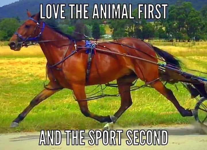 Kaylene w (@kaylene32418877) on Twitter photo 