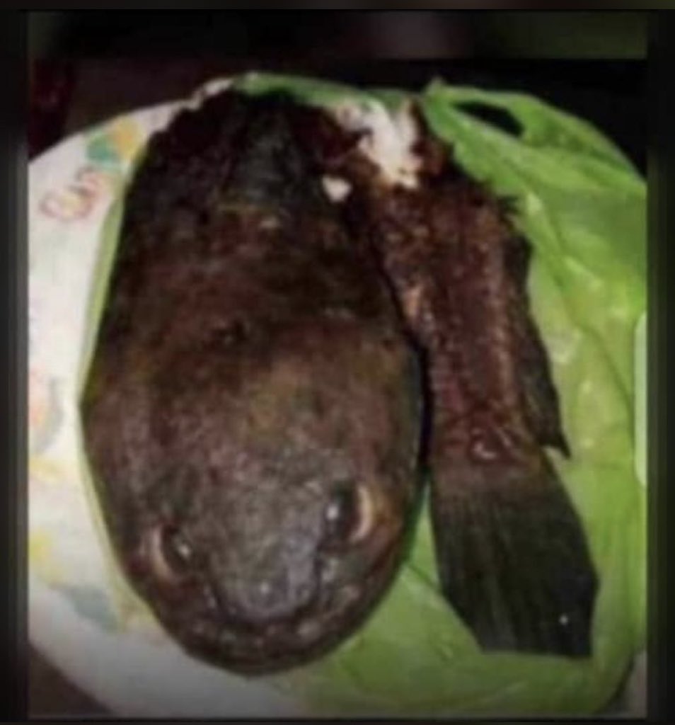 shixdoricher's tweet photo. Look me very well Am from Epe so If u look me from nw till tomorrow
I go still chop u nah buy I buy u, no be me kill u...
Abi ewo loju werey🤣😂😂 https://t.co/tF3mnnMsbb