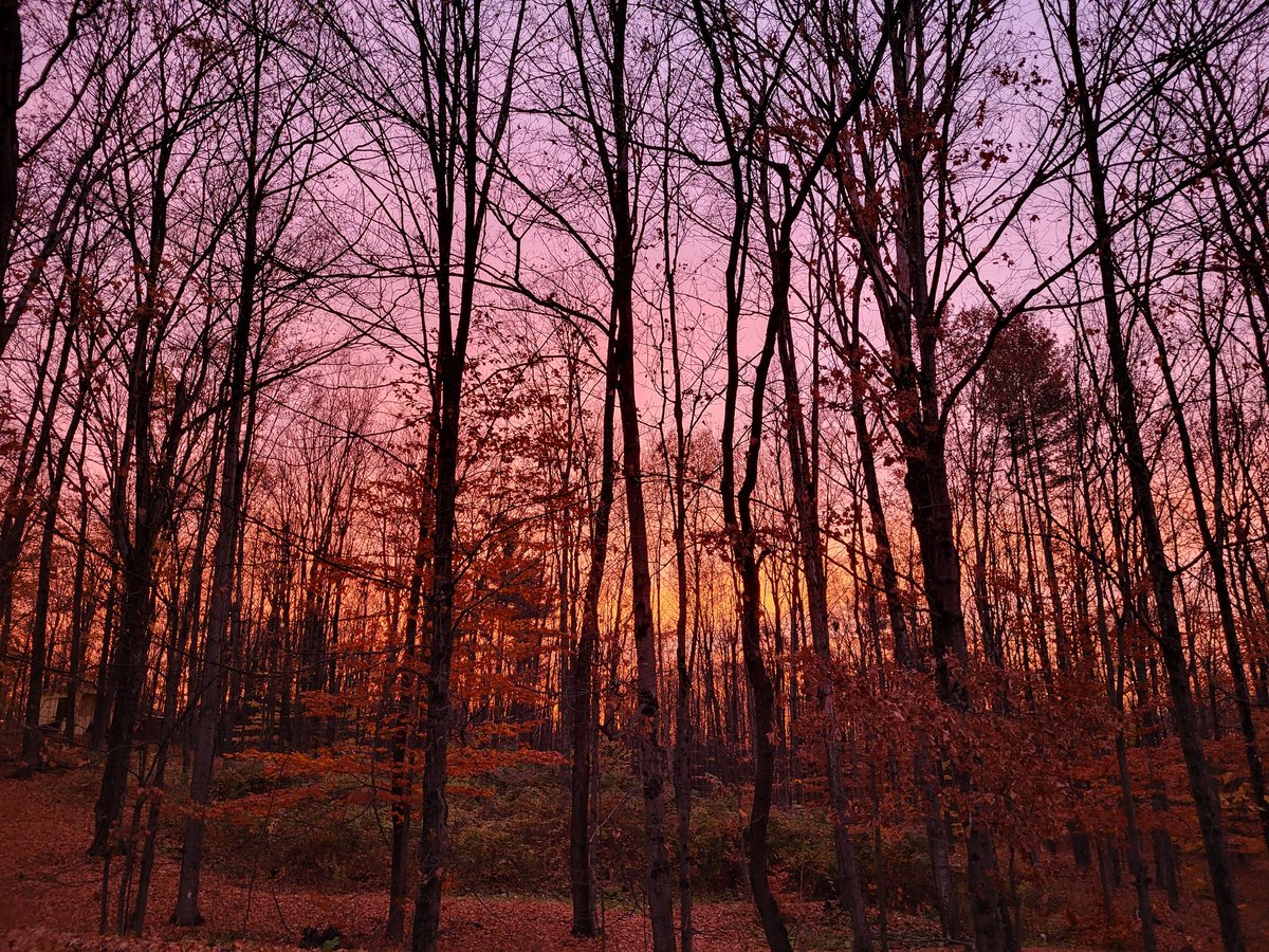 WizzzDom (@dombeaud22) on Twitter photo 