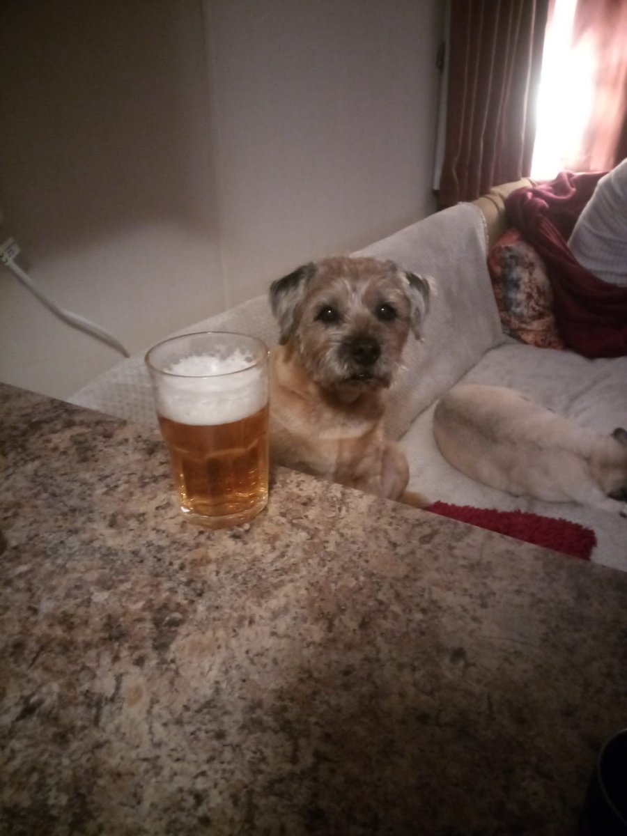 Am at the bar, pals. Service is shockin. <a href="/BCHarris64/">Bev Harris Author</a> is too busy watchin #celebritytraitorsUK #btposse #ZSHQ