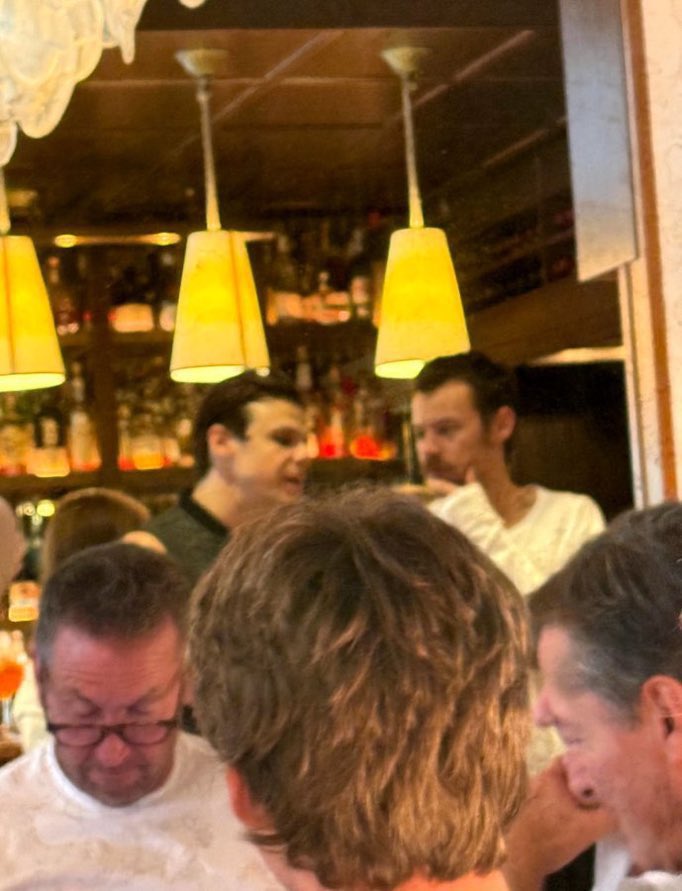 the way stan twitter manifested evil harry styles meeting harry styles