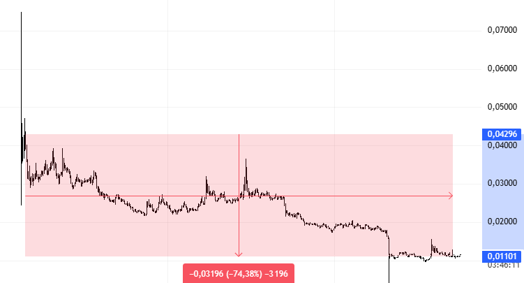 LAVANDA BACKYARD tweet media