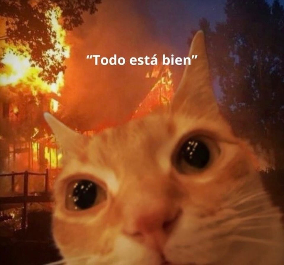 Ojos color sol (@ojoscol0rsol) on Twitter photo 