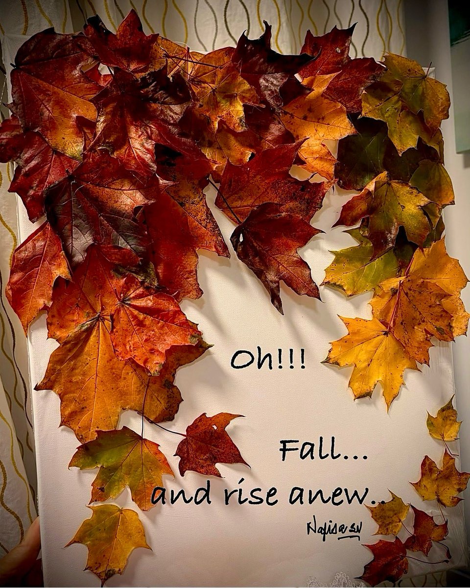 art_nafis's tweet image. Backyard leaves fall to rise again — on canvas ..
#realleaves #realleavesoncanvas #creativeexpression #autumninspiration #poeticart #mycreation 
Hi X world,
Sharing my real maple leaves canvas art with you all..