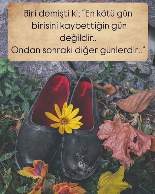 SinemKiraz (@sinemkiraz22) on Twitter photo 