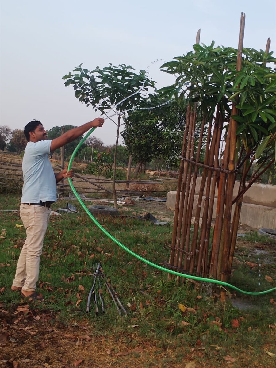 AsifSheikh__'s tweet image. जिस पौधे को हमने खुद अपने हाथों से सींचा हो, उसकी छाया में बैठने का मज़ा अलग होता है,क्योंकि वह सिर्फ एक पेड़ नहीं, वह हमारे लगाए गए परिश्रम, धैर्य और लगन का प्रतीक बन जाता है,🌳🫶
...🌳
...💚
...🫶
#natureviews🌳🌲🌿🌲#naturelover❤️ #naturelovers❤️🍃🌿🌎  #naturephotography