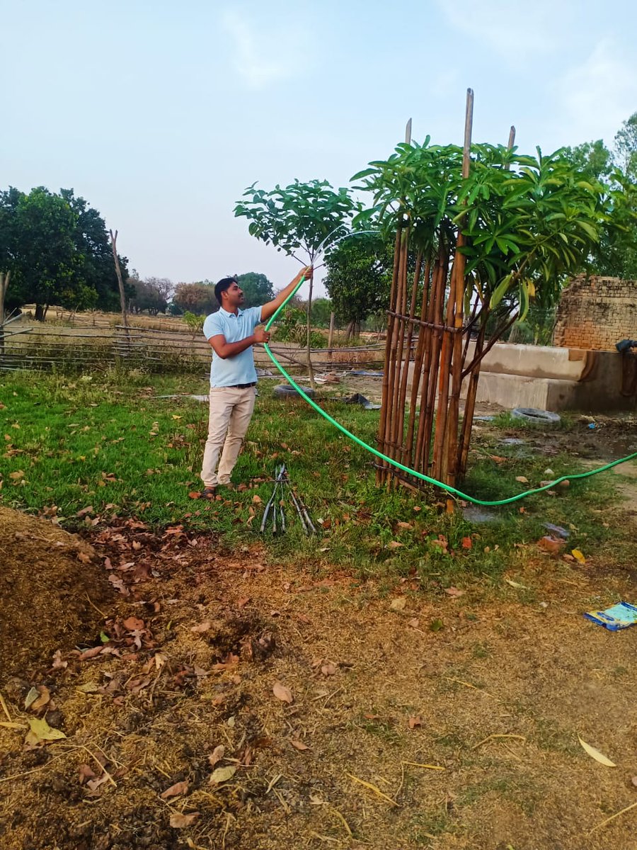 AsifSheikh__'s tweet image. जिस पौधे को हमने खुद अपने हाथों से सींचा हो, उसकी छाया में बैठने का मज़ा अलग होता है,क्योंकि वह सिर्फ एक पेड़ नहीं, वह हमारे लगाए गए परिश्रम, धैर्य और लगन का प्रतीक बन जाता है,🌳🫶
...🌳
...💚
...🫶
#natureviews🌳🌲🌿🌲#naturelover❤️ #naturelovers❤️🍃🌿🌎  #naturephotography