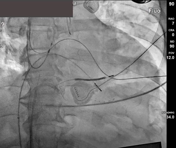 Maylyn Parsons Misiora tweet media