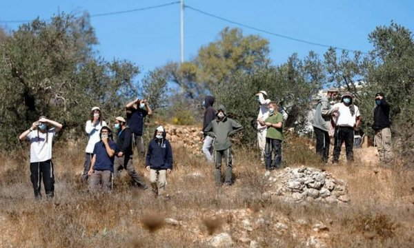 FayezShamm18239's tweet photo. العربي الفلسطيني هو صاحب الأرض،
والعربي الفلسطيني هو الذي غرس أشجار الزيتون 
والعربي الفلسطيني هو الذي حفر الآبار، وأسقى الأشجار، واهتم بها.
والعربي الفلسطيني هو الذي جمع ثمار الزيتون، ووضعها في أكياس.
فجاء المستوطن اليهودي واستولى على كل المحصول، منفذاً تعاليم التوراة، لقد صارت أكياس الزيتون من حق اليهودي كما جاء في سفر التثنية.
فماذا يقول سفر التثنية لليهود:
"ومتى أتى بك الرب إلهك إلى الأرض التي حلف لآبائك إبراهيم واسحق ويعقوب أن يُعطيك، "مدن عظيمة جيدة لم تبنها" "وبيوت مملوءة كل خير لم تملأها" "وأبار محفورة لم تحفرها" "وكروم وزيتون لم تغرسها، وأكلت وشبعت"
لقد فصّلت التوراة العطايا الربانية لليهود، وهي:
"مدن عظيمة جيدة لم تبنها" مثل مدينة يافا وحيفا واللد وعسقلان ويبنه وصفد والرملة وأسدود.
وتضيف التوراة:
"وبيوت مملوءة كل خير لم تملأها"
وللتذكير فقد اغتصب اليهود كل الأرض الفلسطينية بخيراتها ومقدراتها نكبة 1948
وتضيف التوراة:
"وأبار محفورة لم تحفرها"
ولا يتشكك أحد بان كل الآبار التي حفرها العرب الفلسطينيون في أرض فلسطين، وفي الضفة الغربية، كلها صارت ملكاً خالصاً لليهود، ويبيعون المياه للعربي الفلسطيني بأسعار مرتفعة
وتضيف التوراة:
"وكروم وزيتون لم تغرسها، وأكلت وشبعت"
وهذا الذي يحدث اليوم على أرض الضفة الغربية، يستولون على محصول الزيتون الذي تعب في زراعته ورعايته وجمعه العربي الفلسطيني.
اليهود يحسب نفسه غير معتدٍ، وإنه ينفذ تعاليم التوراة، وبذلك هم لا يسرقون، ولا يغتصبون، ولا يقتلون، ولا يعتدون، هم ينفذون تعاليم التوراة ليكونوا صالحين.