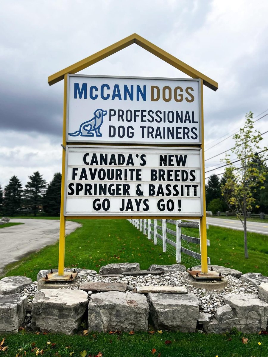 🐶🐶🐶 #BlueJays #WANTITALL