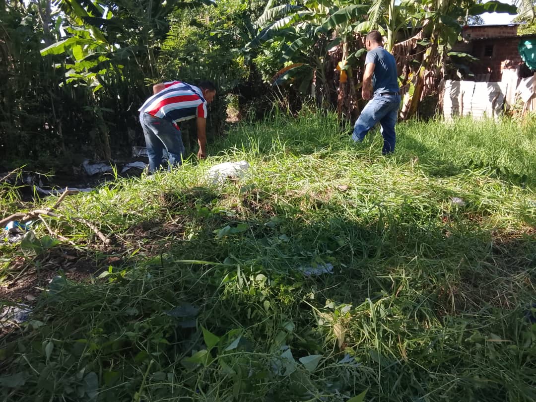 RSuarez11910's tweet image. Jornada de limpieza y higienizacion en la Ciudad de Las Tunas,caracterizada por la movilización popular y el apoyo incondicional de los organismos
#PoderPopular