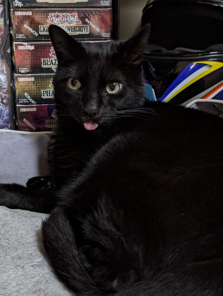 HiMeIsDo's tweet image. Alors que pour 150euros par mois GRAND MAX vous avez ce genre d'amour pendant 10 a 20 ans nah le débat est meme pas un peu dur