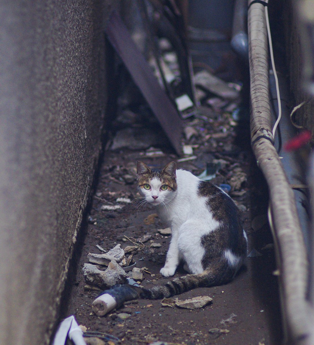 おはよう金曜日
