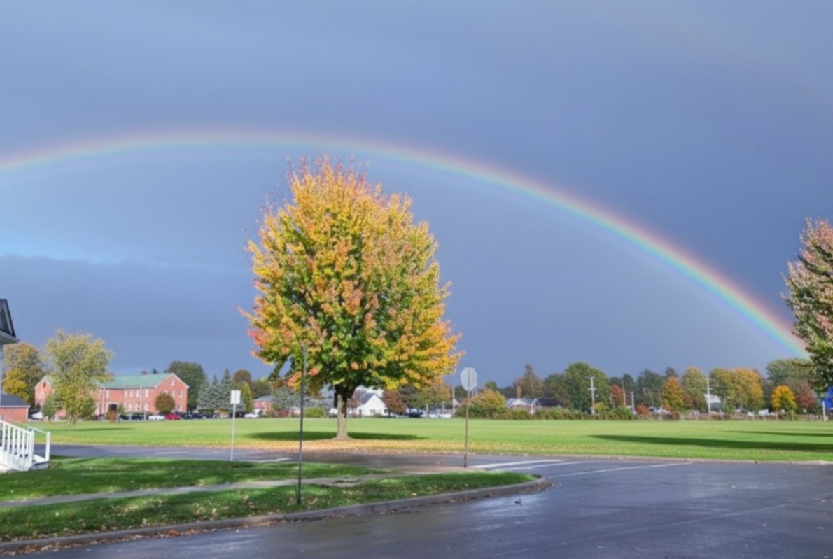 🌈🩷