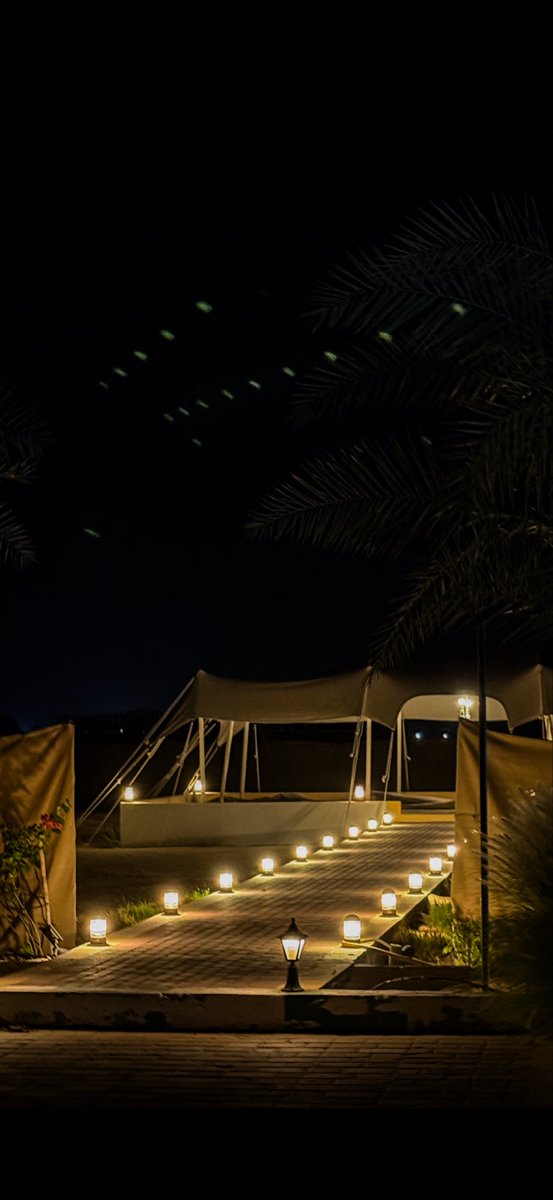 hudasm__'s tweet image. المساء موحش دون لذة حڪاويڪ 
والشوق حالف مايجي دون صوتڪ💜🕊
I