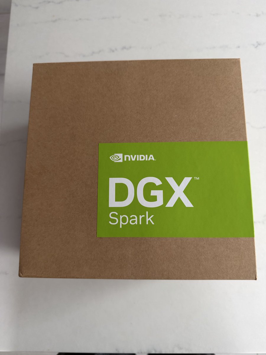 I set up the DGX Spark today. It was pretty straightforward, but there were a few hiccups. I documen