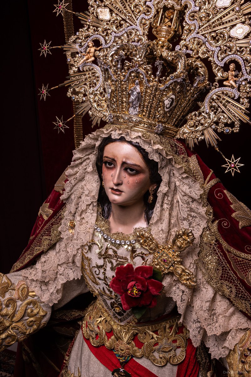 Rosa del Jueves Santo.

<a href="/Zamarrilla/">Hdad. de Zamarrilla</a> #CofradíasMLG