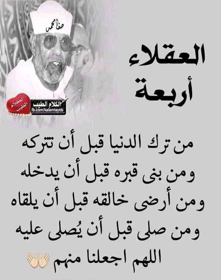 العقلاء أربعة.