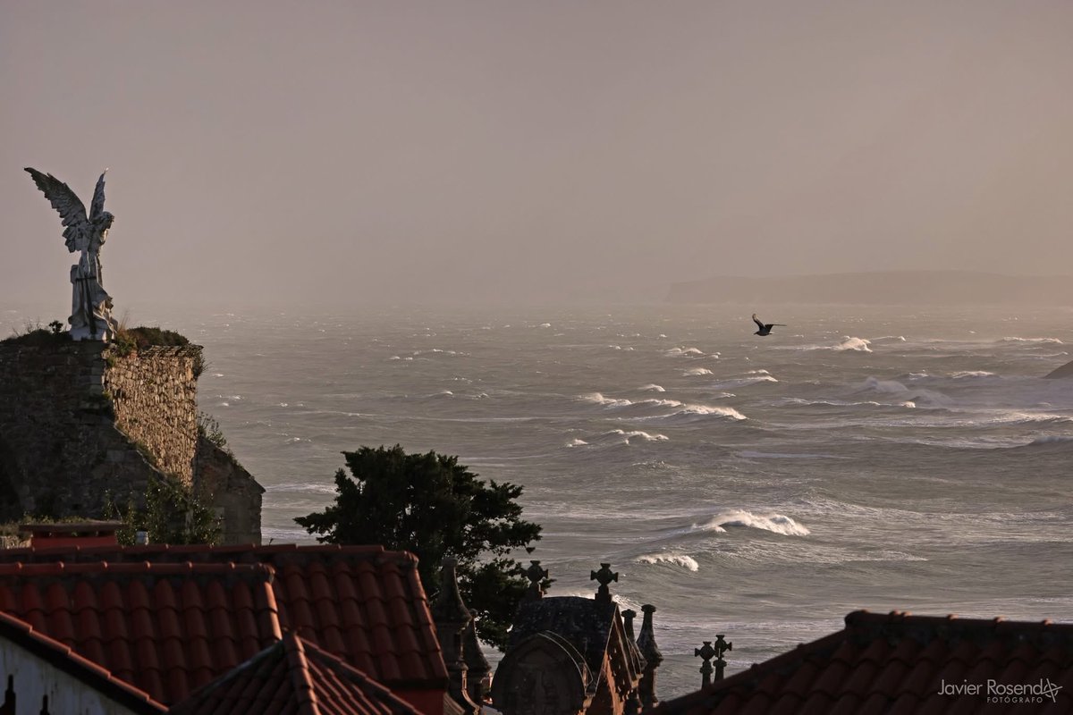 23/10/2025 #temporal #comillas
La fotografía y los momentos.
⭐️Wonder Photo Shop #cabezondelasal
📍 Paseo de Ygareda 17 - ☎ 942 702 490
📷javierrosendo.com