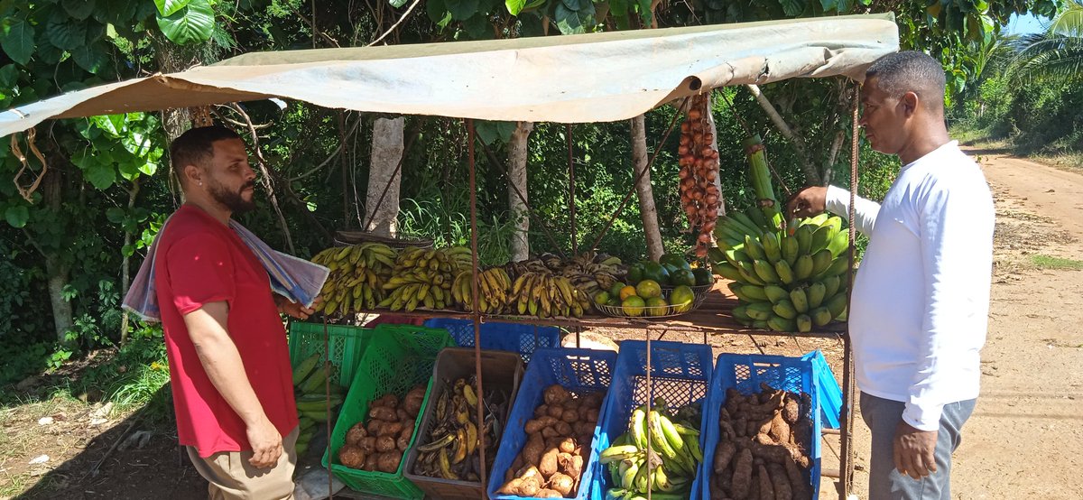 RobertoGlezMu's tweet image. Productos agropecuarios y presencia permanente en la red que se comercializan no es suficiente, se requiere además precios en correspondencia con la ficha de costos, apegados a lo concertado y a la calidad. Ello trabajamos en #Bejucal.
#JuntosPorMayabeque
#PoderPopular
