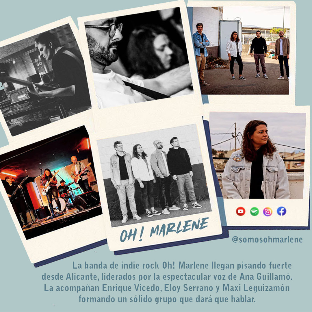 Jungle Indie Rock tweet media