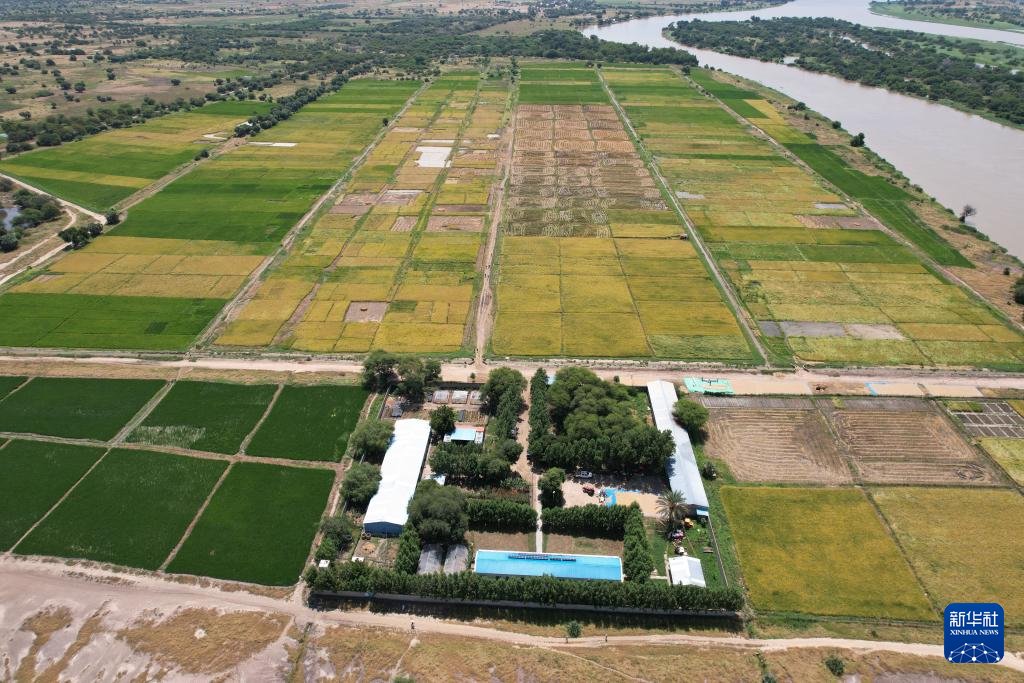 Ambassade de Chine au Tchad tweet media