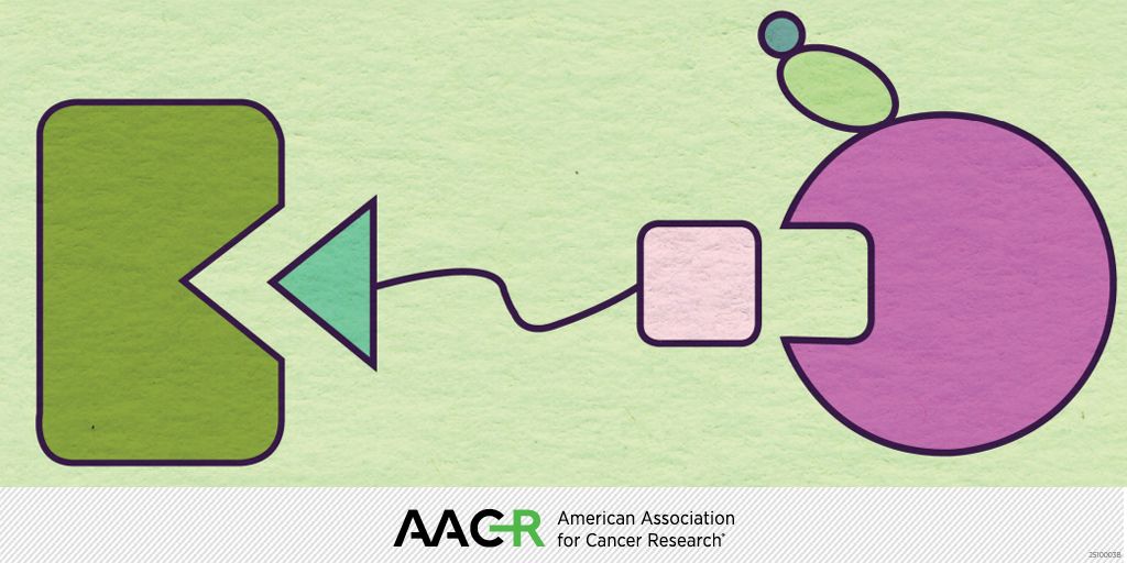 Heading to Concurrent Session 3: Protein Degraders at #Targets25? Be sure to check out the new <a href="/AACR/">AACR</a> Journals collection—Advances in Targeted Protein Degradation: PROTACs and Molecular Glues brnw.ch/21wWSWp