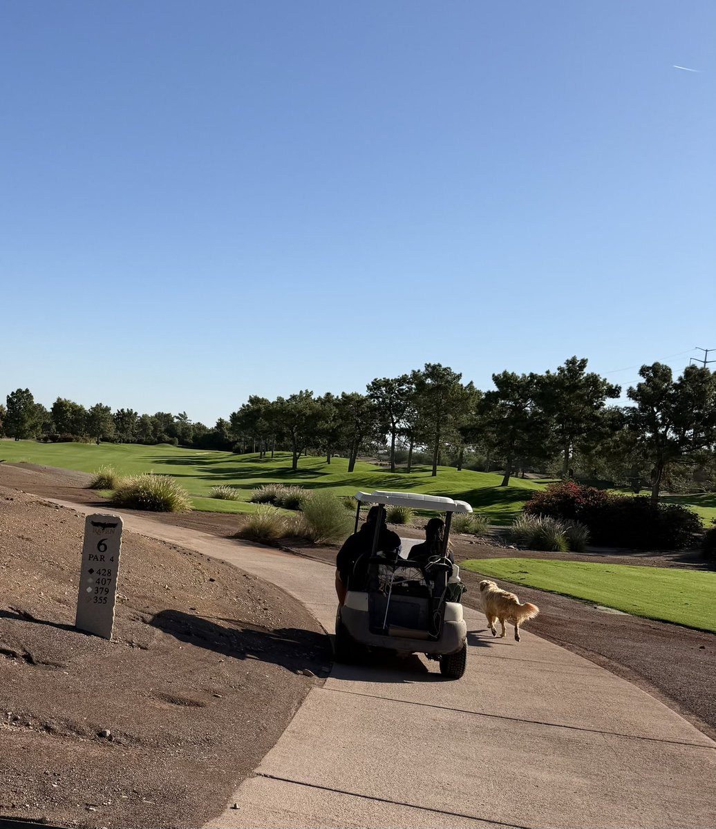 Phil Page tweet media