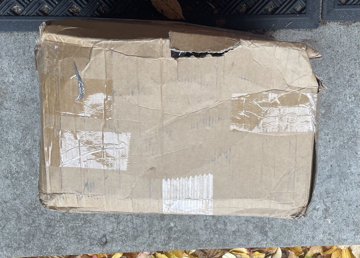 TheMatriarch tweet media