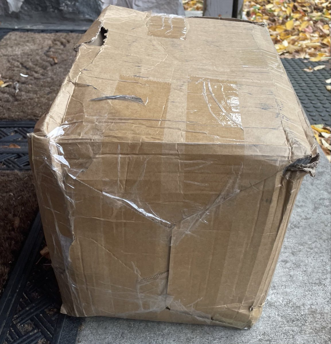 TheMatriarch tweet media